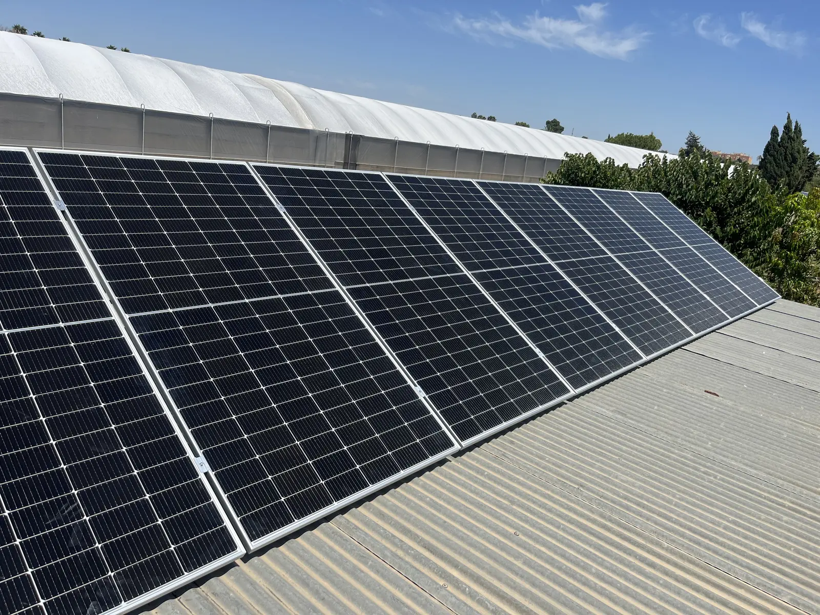 Placas solares y autoconsumo en Andalucía